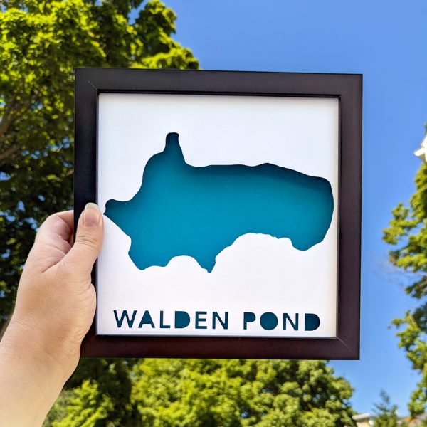 A hand holding a framed map of Walden Pond up to a blue sky with a big leafy tree in the background