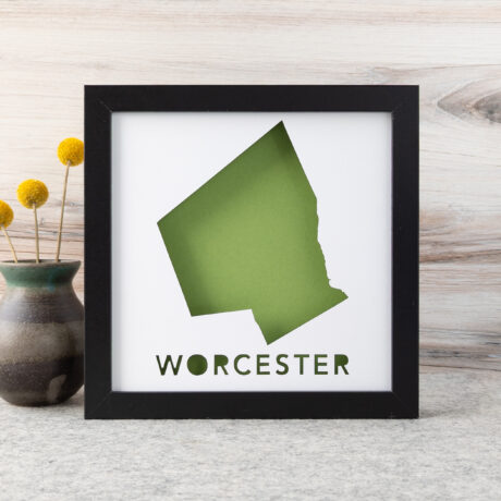 a vase with yellow flowers in it next to a framed green map of Worcester, MA