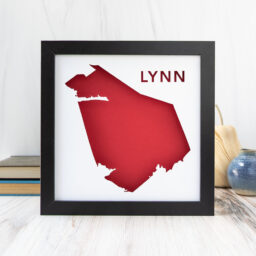 a framed map of the city of Lynn, MA