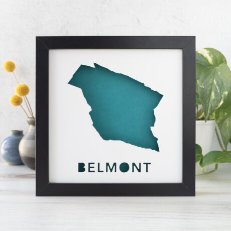 a framed map of the town of Belmont, MA