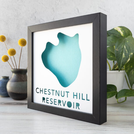 there is a vase with flowers in it next to a framed map of chestnut hill reservoir in boston, ma