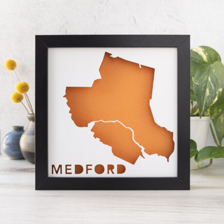 a framed orange map of medford, ma on a table with plants behind it