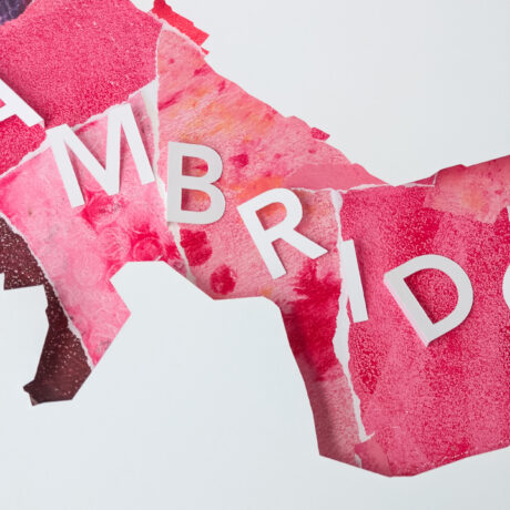 A closer view of the pink collaged background of the Cambridge map with the letters "MBRID" visible